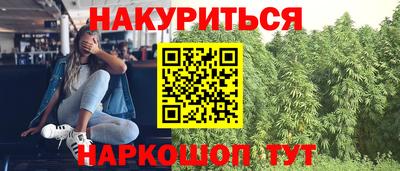 прущий лед Новозыбков